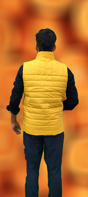 3-Yellow-Jacket.jpg